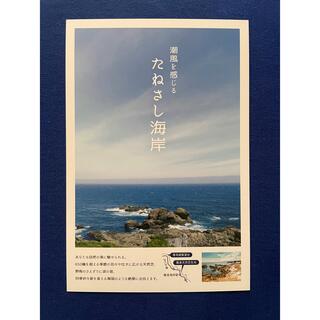映画『マイ・ブロークン・マリコ』 鑑賞者限定 ロケ地情報ポストカード(その他)