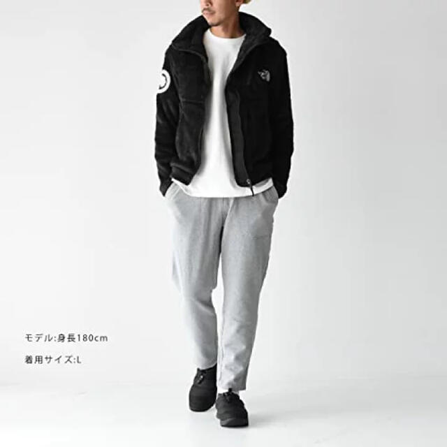 THE NORTH FACE(ザノースフェイス)のthd north face アンタークティカ　Mサイズ メンズのジャケット/アウター(ブルゾン)の商品写真