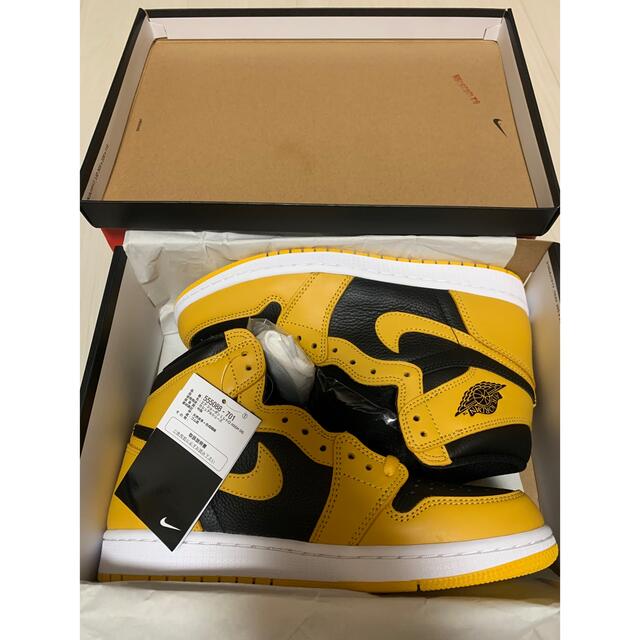 靴/シューズNike Air Jordan 1 High OG Pollen 26.5