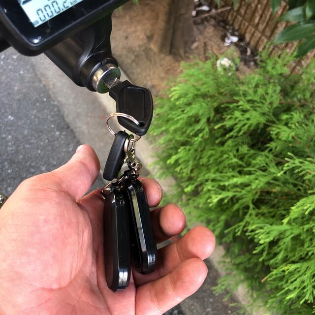 神速　max50以上　超速　フル電動自転車　ひねちゃ　モペット　アクセル付き スポーツ/アウトドアの自転車(自転車本体)の商品写真