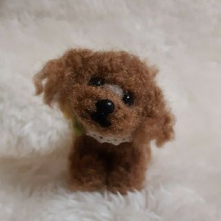 SOLD OUT 羊毛フェルト 毛糸 ミニミニサイズトイプードル www