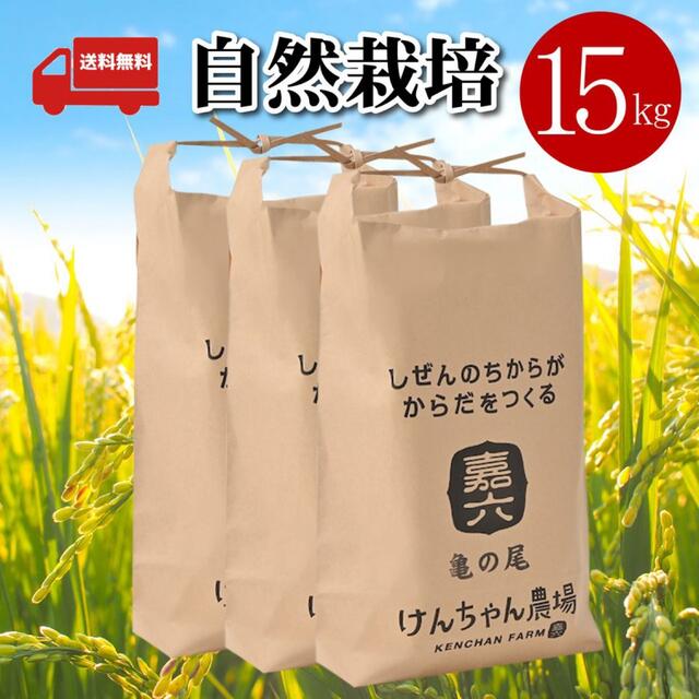 豪華 亀の尾 自然栽培米 玄米 15kg 白米 無農薬 古代米(けんちゃん農場 ...