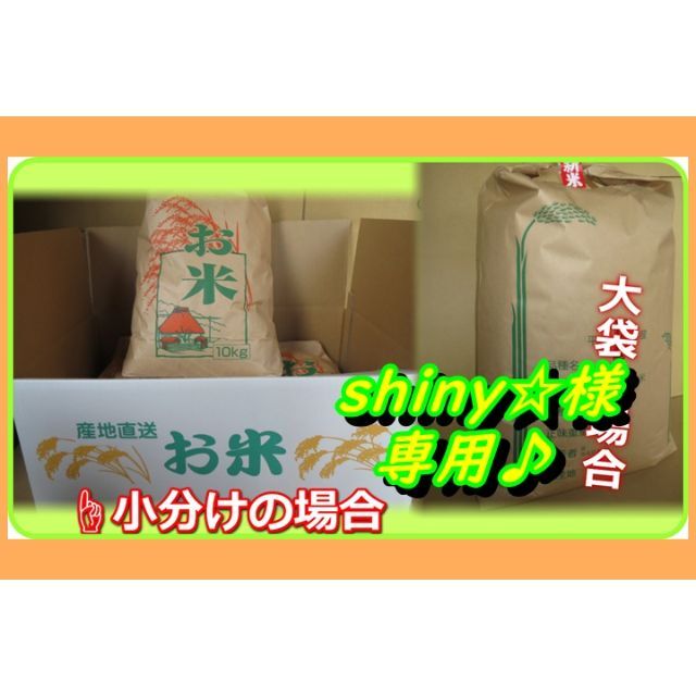 ☆令和2年度収穫コシヒカリ定番のお米！白米27ｋｇの出品です。小分け可/玄米可