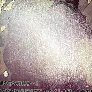 壱百満天原サロメ にじフェス シャドウバース コレクションカード 缶