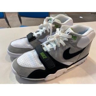 ナイキ(NIKE)のNIKE SB AIR TRAINER 1 ISO CHLOROPHYLL(スニーカー)