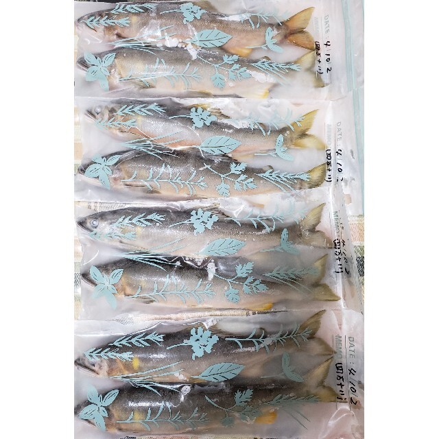 専用です。冷凍鮎 四万十川 10/2 食品/飲料/酒の食品(魚介)の商品写真