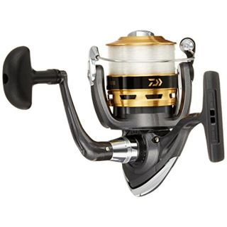 ダイワ(DAIWA)のダイワーリール(その他)