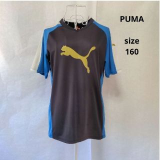 プーマ(PUMA)のPUMA　プーマ　キッズ半袖Tシャツ　トレーニングウェア(Tシャツ/カットソー)