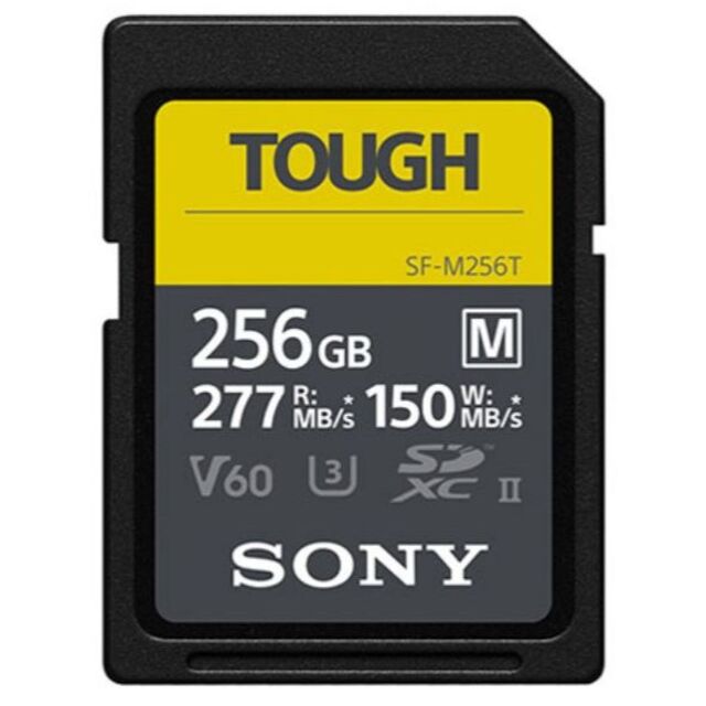 SONY(ソニー) TOUGH SF-M256T [256GB]