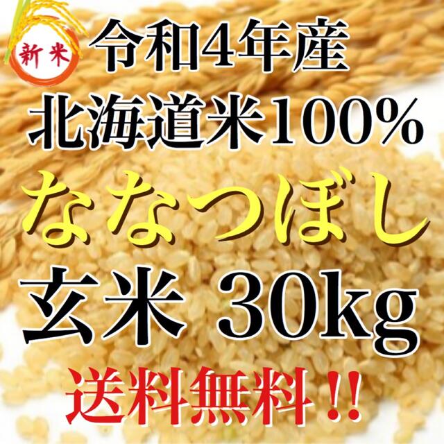 玄米　新米】令和4年産　北海道米　ななつぼし　20kg-