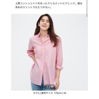 ユニクロ(UNIQLO)の【新品未使用】UNIQLO コットンシャツ(シャツ/ブラウス(長袖/七分))