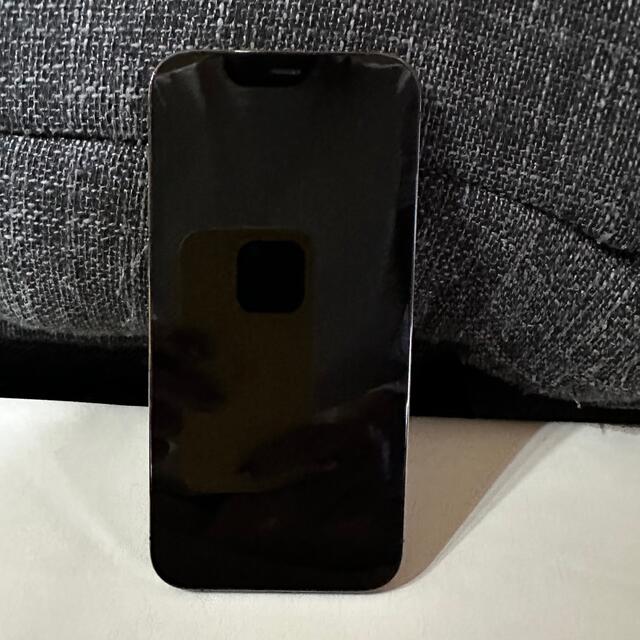 新品?正規品 - iPhone iPhone12Pro グラファイト 本体 256GB スマートフォン本体 新品?正規品 - iPhone iPhone12Pro グラファイト 本体 256GB スマートフォン本体