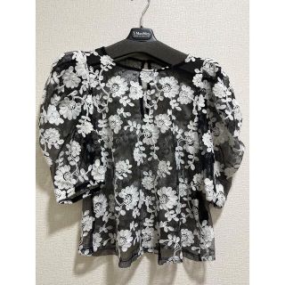 ザラ(ZARA)のZARA花柄シースルートップス(シャツ/ブラウス(長袖/七分))