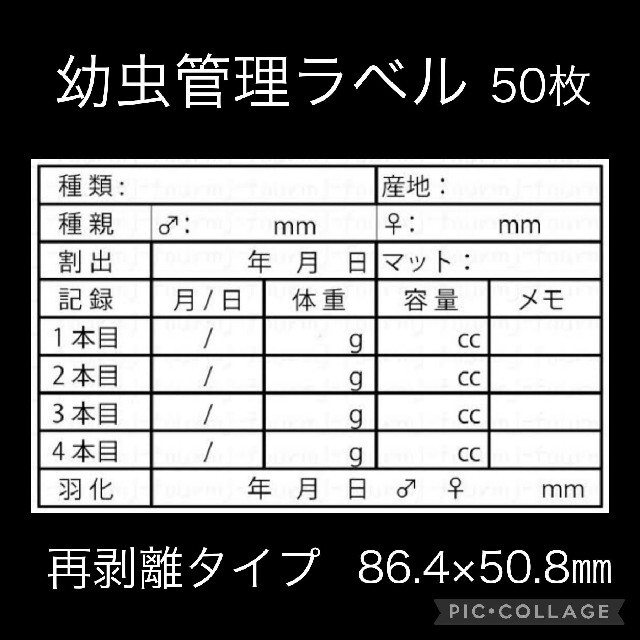 幼虫管理ラベルシール 5枚セット