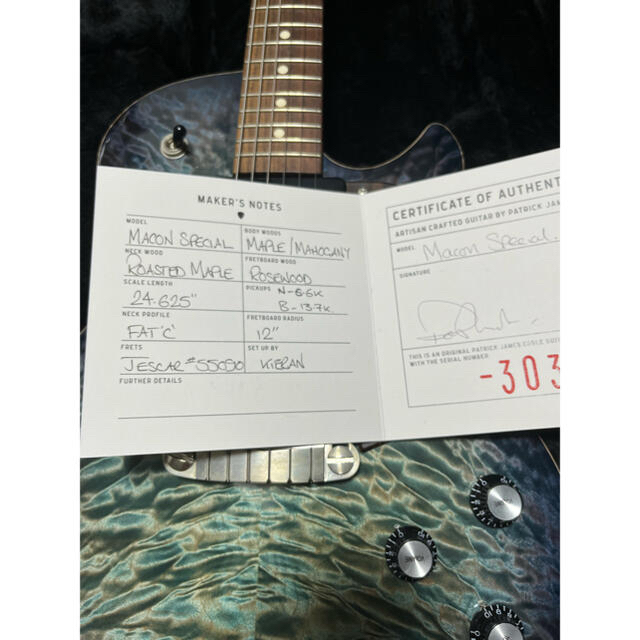 Patrick James Eggle Macon Jr Special 楽器のギター(エレキギター)の商品写真