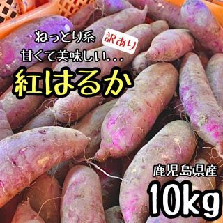 2022年新物◎鹿児島産 訳あり 紅はるか 10キロ さつまいも 10kg(野菜)