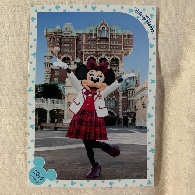 Disney(ディズニー)のTDS スペシャルフォト　ミニー エンタメ/ホビーのおもちゃ/ぬいぐるみ(キャラクターグッズ)の商品写真