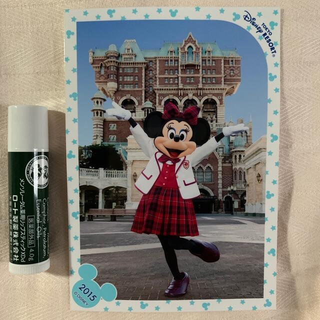 Disney(ディズニー)のTDS スペシャルフォト　ミニー エンタメ/ホビーのおもちゃ/ぬいぐるみ(キャラクターグッズ)の商品写真