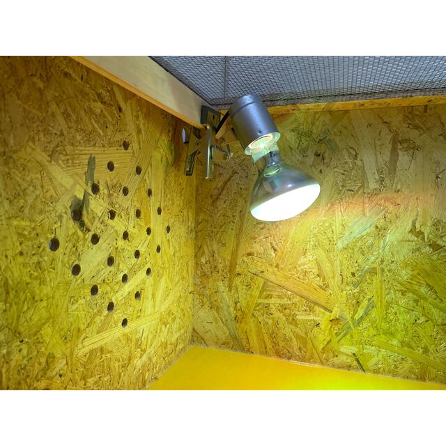 オプション付き専用ページ(82×40×40) - 爬虫類/両生類用品