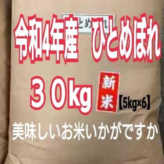 お米　ひとめぼれ【令和4年産】精米済み　30キロ(米/穀物)