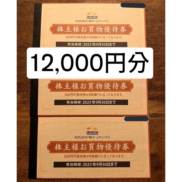12000円分) クリエイトSD 株主優待券 rubylakeresort.com