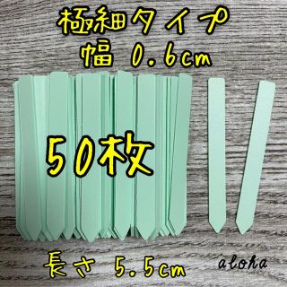 ミント　50枚 多肉植物 アガベ サボテンに◎ 園芸用 ラベル ネームラベル(その他)