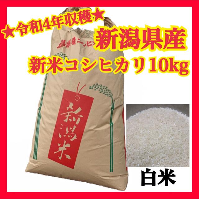 ★送料無料★新潟県産新米コシヒカリ（白米10kg）