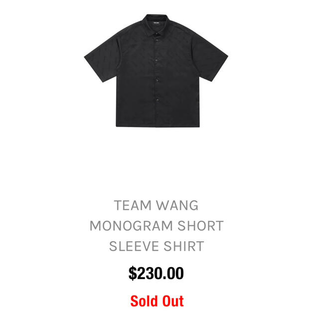 入手困難　TEAM WANG LOGO MONOGRAM   シャツ