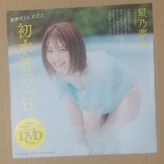 プレイボーイ 星乃夢奈 DVD エンタメ/ホビーのDVD/ブルーレイ(アイドル)の商品写真