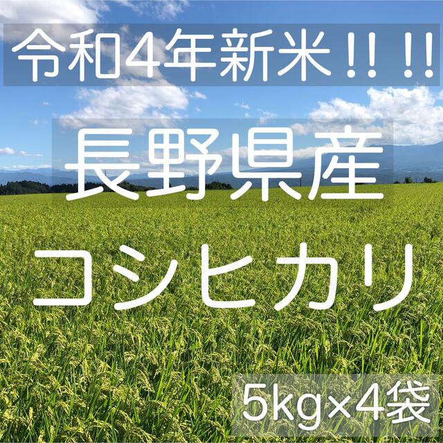 精米【令和4年産】長野県コシヒカリ20キロ白米