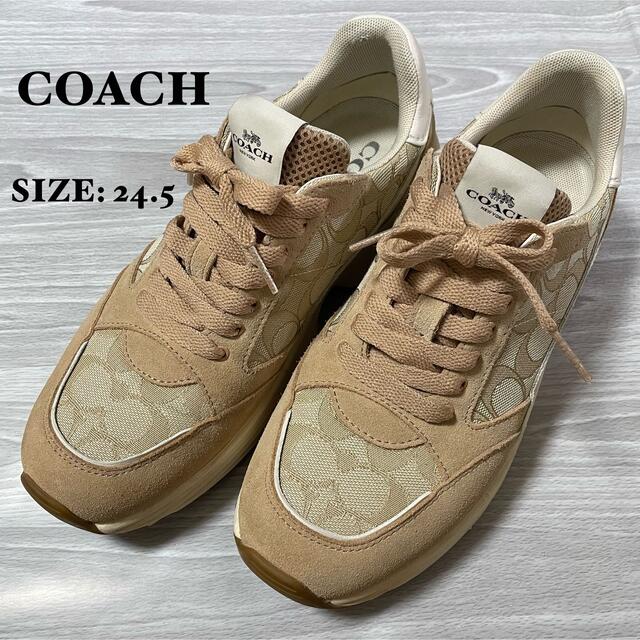 COACH コーチ　スニーカー　ダットスニーカー　ベージュ　24.5cm靴/シューズ