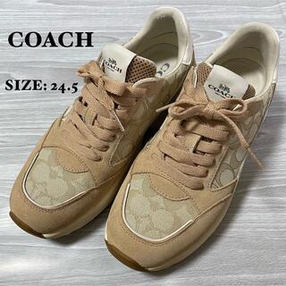 コーチ(COACH)のCOACH コーチ　スニーカー　ダットスニーカー　ベージュ　24.5cm(スニーカー)