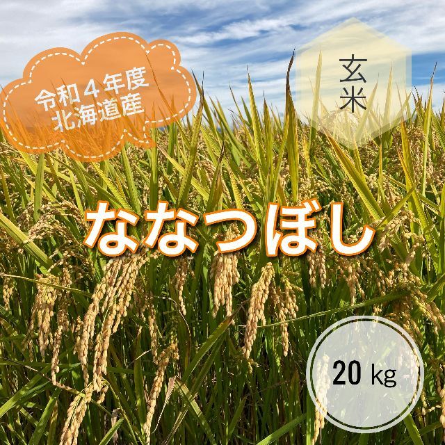 令和４年度北海道産ななつぼし玄米20キロ農家直送ななつぼし