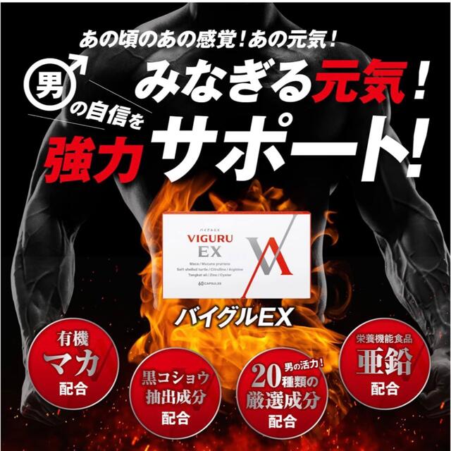 VIGURUEX男性用サプリメントマカ亜鉛シトルリンアルギニン栄養機能食品60粒 食品/飲料/酒の健康食品(その他)の商品写真