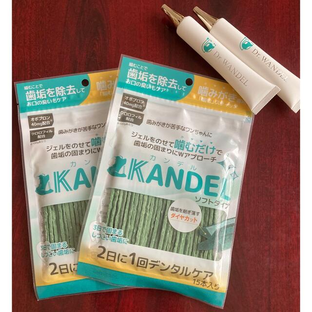 KANDEL カンデル　WANDEL ワンデル