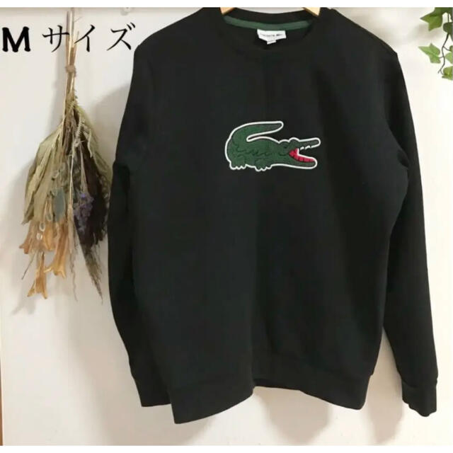 新品　ラコステ　LACOSTE　スウェット　トレーナー