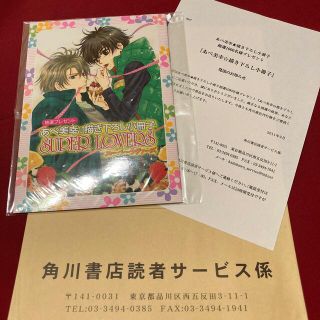 カドカワショテン(角川書店)のSUPER LOVERS 抽選 あべ美幸☆描き下ろし小冊子(ボーイズラブ(BL))