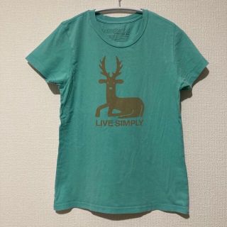 パタゴニア(patagonia)のTシャツ(Tシャツ(半袖/袖なし))