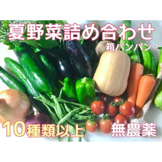 野菜詰め合わせセット　無農薬野菜詰め合わせ60サイズ箱いっぱい(野菜)