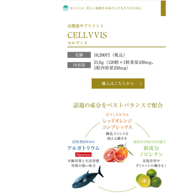 美style  CELLVVIS 4