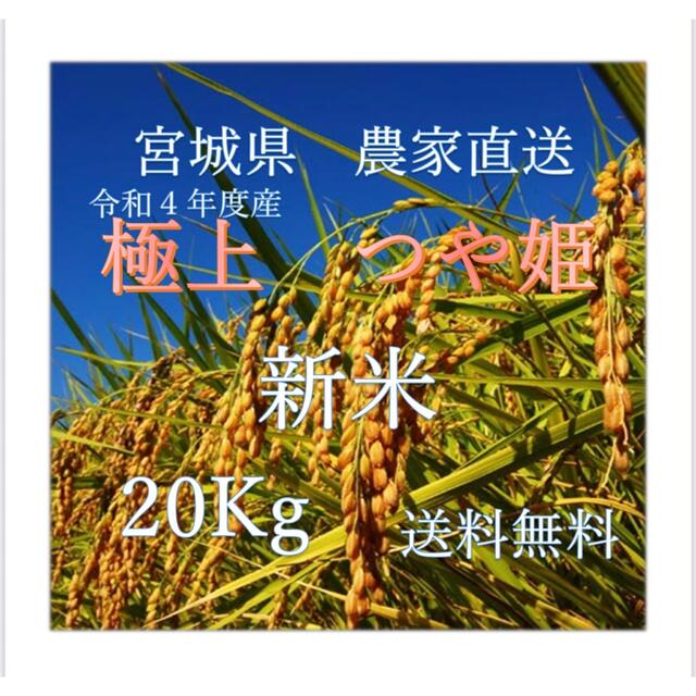 お米　新米　宮城県産　つや姫　20kg  産地直送　令和4年度産　送料込み食品/飲料/酒