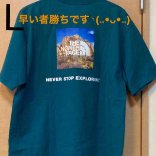 ザノースフェイス(THE NORTH FACE)のTHE NORTH FACE(Tシャツ/カットソー(半袖/袖なし))