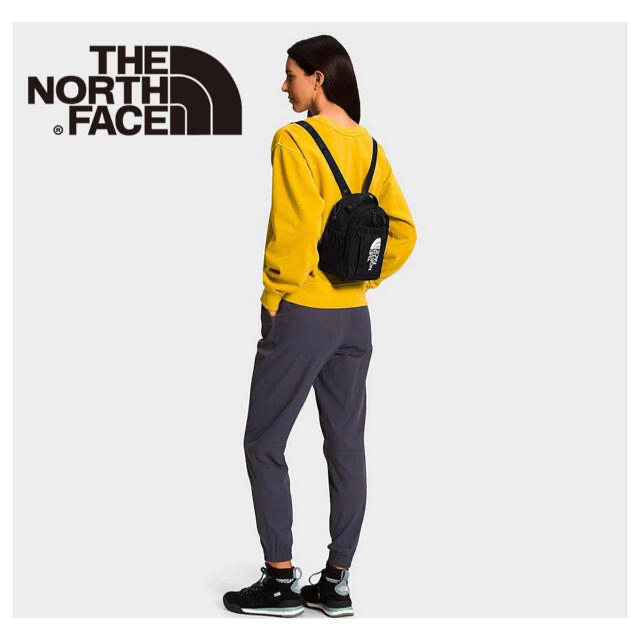 THE NORTH FACE - ノースフェイス 海外限定 ミニリュック バックパック 