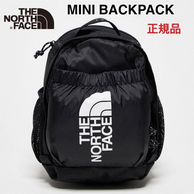 【新品タグ付】THE NORTH FACE　海外限定デイバッグ