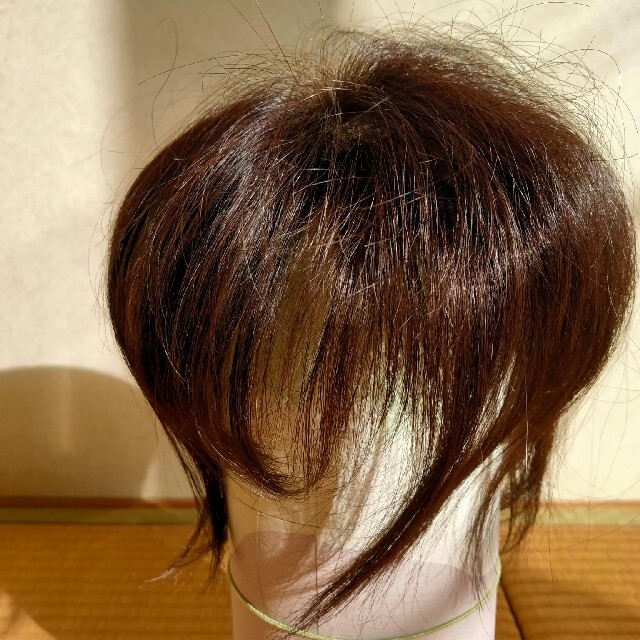 人毛ミックス トップピース 部分ウィッグハイネット mtsn1mamuju.sch.id