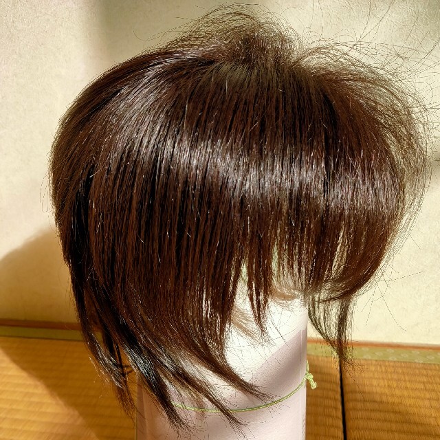 人毛ミックス トップピース 部分ウィッグハイネット mtsn1mamuju.sch.id