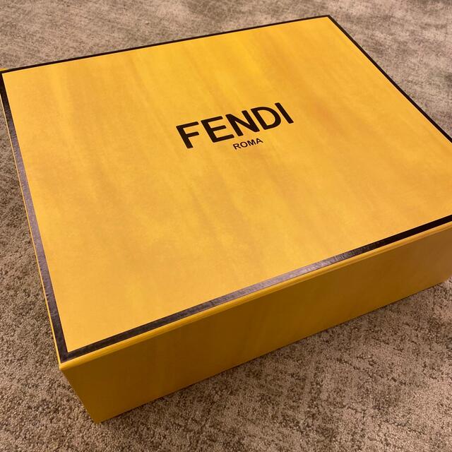 FENDI(フェンディ)のFENDI フェンディ　箱　ハンガー　カバー　緩衝材付き レディースのバッグ(ショップ袋)の商品写真