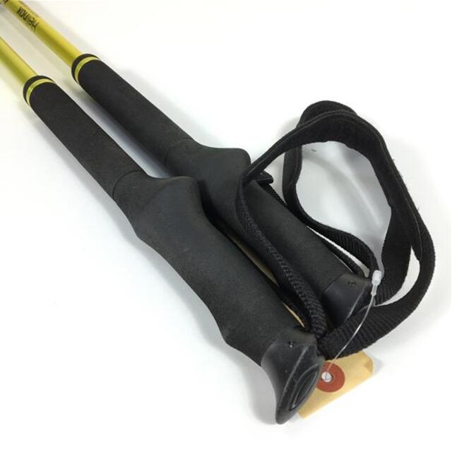 ヘリノックス パスポート FL-120 トレッキングポール HELINOX FL