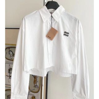 ミュウミュウ トップスの通販 1,000点以上 | miumiuのレディースを買う お値下げ商品 ミュウミュウ ブラウス 襟 レース トップス リボン フォクシー 紗栄子着用 ひざ丈ワンピース
