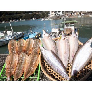 カマス干物セット！送料無料☺︎(魚介)